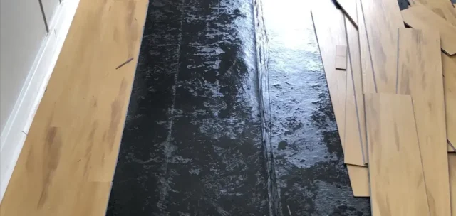 Dehumidification San Diego — Mubbi Restorations